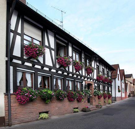 Hotel Dernbachtal Esterno foto